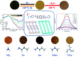 Graphical abstract: A multifunctional colorimetric sensor originating from a cadmium naphthalene diimide-based metal–organic framework: photochromism, hydrochromism, and vapochromism
