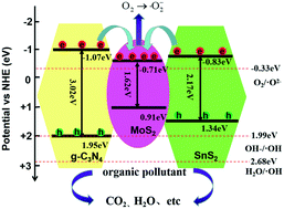 Graphical abstract: Loading SnS2 nanosheets decorated with MoS2 nanoparticles on a flake-shaped g-C3N4 network for enhanced photocatalytic performance