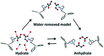 Graphical abstract: Hydrogen bonding from crystalline water mediates the hydration/dehydration of mequitazine glycolate