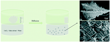 Graphical abstract: 1,1′-Ferrocenedicarboxylic acid/tetrahydrofuran induced precipitation of calcium carbonate with a multi-level structure in water