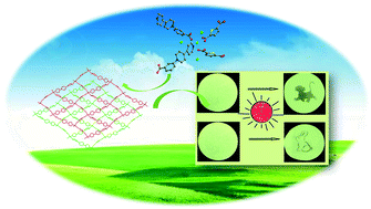 Graphical abstract: Construction of a viologen-derived 2D material with photochromism, photoswitchable luminescence and inkless and erasable prints via sunlight irradiation
