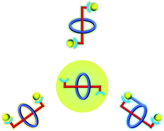 Graphical abstract: Impact of the proximity effect on uranyl coordination of conformationally variable weakly-bonded cucurbit[6]uril-bipyridinium pseudorotaxane