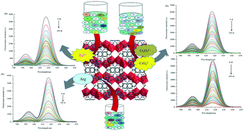 Graphical abstract: A highly stable Eu-MOF multifunctional luminescent sensor for the effective detection of Fe3+, Cr2O72−/CrO42− and aspartic acid in aqueous systems
