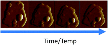 Graphical abstract: In situ atomic force microscopy (AFM) investigation of kaolinite dissolution in highly caustic environments
