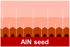 Graphical abstract: Realizing overgrowth in the homo-PVT process for 2 inch AlN single crystals