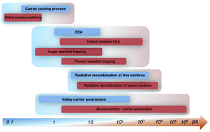 Graphical abstract: Defect-related dynamics of photoexcited carriers in 2D transition metal dichalcogenides