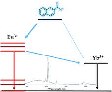 Graphical abstract: Dual vis-NIR emissive bimetallic naphthoates of Eu–Yb–Gd: a new approach toward Yb luminescence intensity increase through Eu → Yb energy transfer