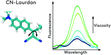 Graphical abstract: Computational and photophysical characterization of a Laurdan malononitrile derivative