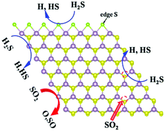 Graphical abstract: Modulation effects of S vacancy and Mo edge on the adsorption and dissociation behaviors of toxic gas (H2S, SO2) molecules on the MoS2 monolayer