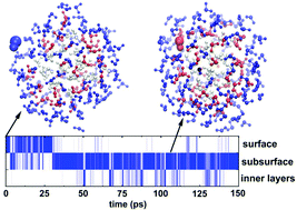 Graphical abstract: The mobility and solvation structure of a hydroxyl radical in a water nanodroplet: a Born–Oppenheimer molecular dynamics study