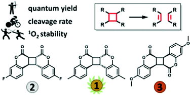 Graphical abstract: Cycloreversion performance of coumarin and hetero-coumarin dimers under aerobic conditions: unexpected behavior triggered by UV-A light