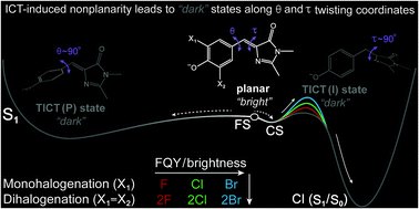 Graphical abstract: Shedding light on ultrafast ring-twisting pathways of halogenated GFP chromophores from the excited to ground state