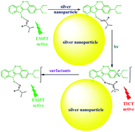 Graphical abstract: Nanoparticle and surfactant controlled switching between proton transfer and charge transfer reaction coordinates