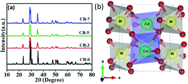 Graphical abstract: One-pot hydrothermal preparation and defect-enhanced photocatalytic activity of Bi-doped CdWO4 nanostructures