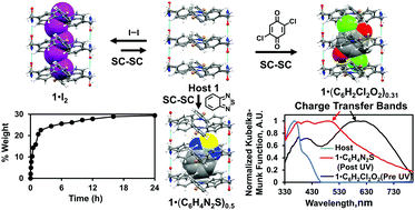 Graphical abstract: Assembled triphenylamine bis-urea macrocycles: exploring photodriven electron transfer from host to guests