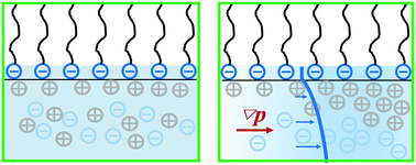 Graphical abstract: Flow effects on the surface properties of surfactant foam films