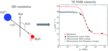 Graphical abstract: Predicting 1H NMR relaxation in Gd3+-aqua using molecular dynamics simulations