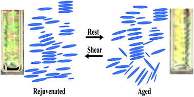 Graphical abstract: Physical aging in aqueous nematic gels of a swelling nanoclay: sol (phase) to gel (state) transition
