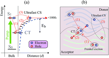 Graphical abstract: Why ultrafast charge separation occurs in bulk-heterojunction organic solar cells: a multichain tight binding model study