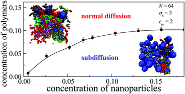 Graphical abstract: A simulation study on the subdiffusion of polymer chains in crowded environments containing nanoparticles