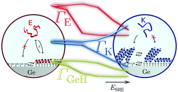 Graphical abstract: Controlling amphipathic peptide adsorption by smart switchable germanium interfaces