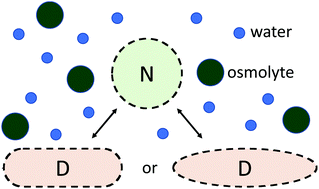 Graphical abstract: Cavity-based free energy analysis of osmolyte effects on protein denaturation