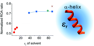 Graphical abstract: Probing the solvation of the α-helix with extended amide III bands in Raman optical activity