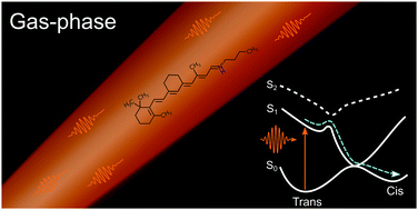 Graphical abstract: Spectroscopy and photoisomerization of protonated Schiff-base retinal derivatives in vacuo
