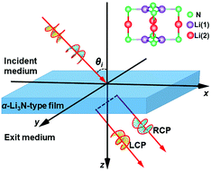 Graphical abstract: Spin Hall effect of transmitted light through α-Li3N-type topological semimetals