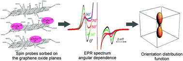 Graphical abstract: Quantitative determination of the orientational ordering of graphene oxide membranes by the spin probe technique