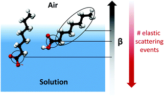 Graphical abstract: Photoelectron angular distributions as sensitive probes of surfactant layer structure at the liquid–vapor interface