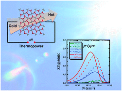 Graphical abstract: Low-cost pentagonal NiX2 (X = S, Se, and Te) monolayers with strong anisotropy as potential thermoelectric materials