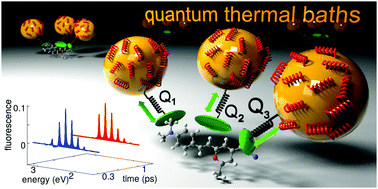 Graphical abstract: The fate of molecular excited states: modeling donor–acceptor dyes