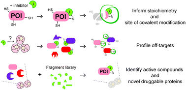 Graphical abstract: Chemoproteomic methods for covalent drug discovery