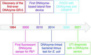 Graphical abstract: Biosensing with DNAzymes