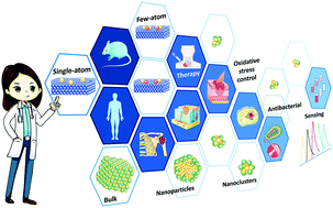 Graphical abstract: Engineering single-atom catalysts toward biomedical applications