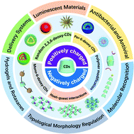 Graphical abstract: Multicharged cyclodextrin supramolecular assemblies