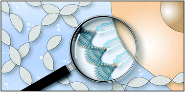 Graphical abstract: Biofunctionality with a twist: the importance of molecular organisation, handedness and configuration in synthetic biomaterial design