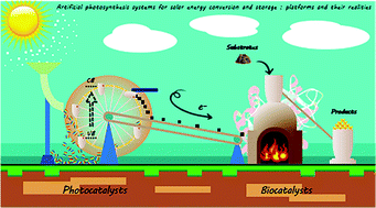 Graphical abstract: Artificial photosynthesis systems for solar energy conversion and storage: platforms and their realities