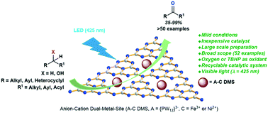 Graphical abstract: Visible-light photocatalytic selective oxidation of C(sp3)–H bonds by anion–cation dual-metal-site nanoscale localized carbon nitride
