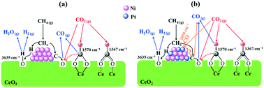 Graphical abstract: Dry reforming of methane on bimetallic Pt–Ni@CeO2 catalyst: a in situ DRIFTS-MS mechanistic study