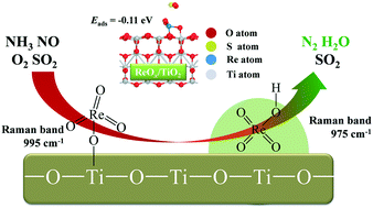 Graphical abstract: Application of ReOx/TiO2 catalysts with excellent SO2 tolerance for the selective catalytic reduction of NOx by NH3