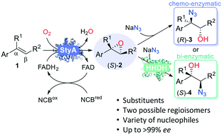 Graphical abstract: Asymmetric azidohydroxylation of styrene derivatives mediated by a biomimetic styrene monooxygenase enzymatic cascade