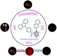 Graphical abstract: A “flexible” carborane-cored luminogen: variable emission behaviours in aggregates
