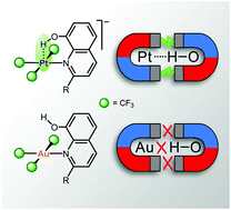 Graphical abstract: Hydrogen bonding to metals as a probe for an inverted ligand field