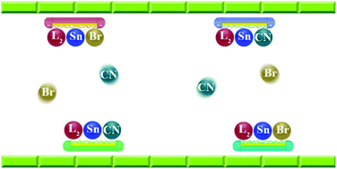 Graphical abstract: Oxidative addition of cyanogen bromide to C,N-chelated and Lappert's stannylenes