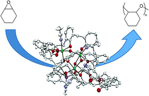 Graphical abstract: Scandium calix[n]arenes (n = 4, 6, 8): structural, cytotoxicity and ring opening polymerization studies