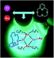 Graphical abstract: Luminescent gold–thallium derivatives with a pyridine-containing 12-membered aza-thioether macrocycle