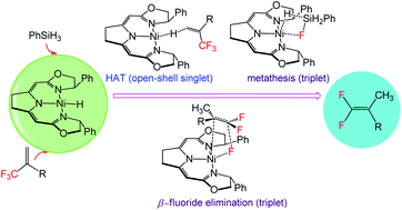 Graphical abstract: Mechanistic insights into Ni-catalyzed hydrogen atom transfer (HAT)-triggered hydrodefluorination of CF3-substituted alkenes