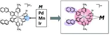 Graphical abstract: Syntheses and structure of dinuclear metal complexes containing naphthyl-Ir bichromophore